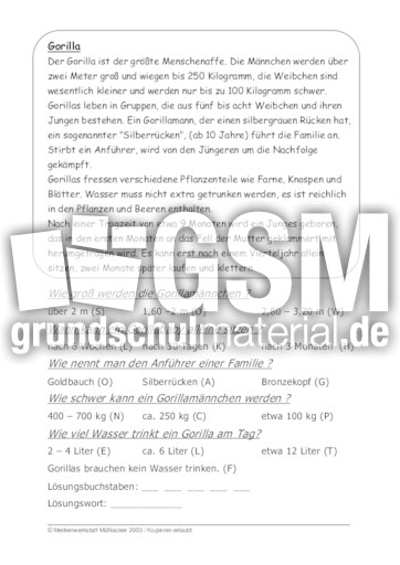 Gorilla.pdf